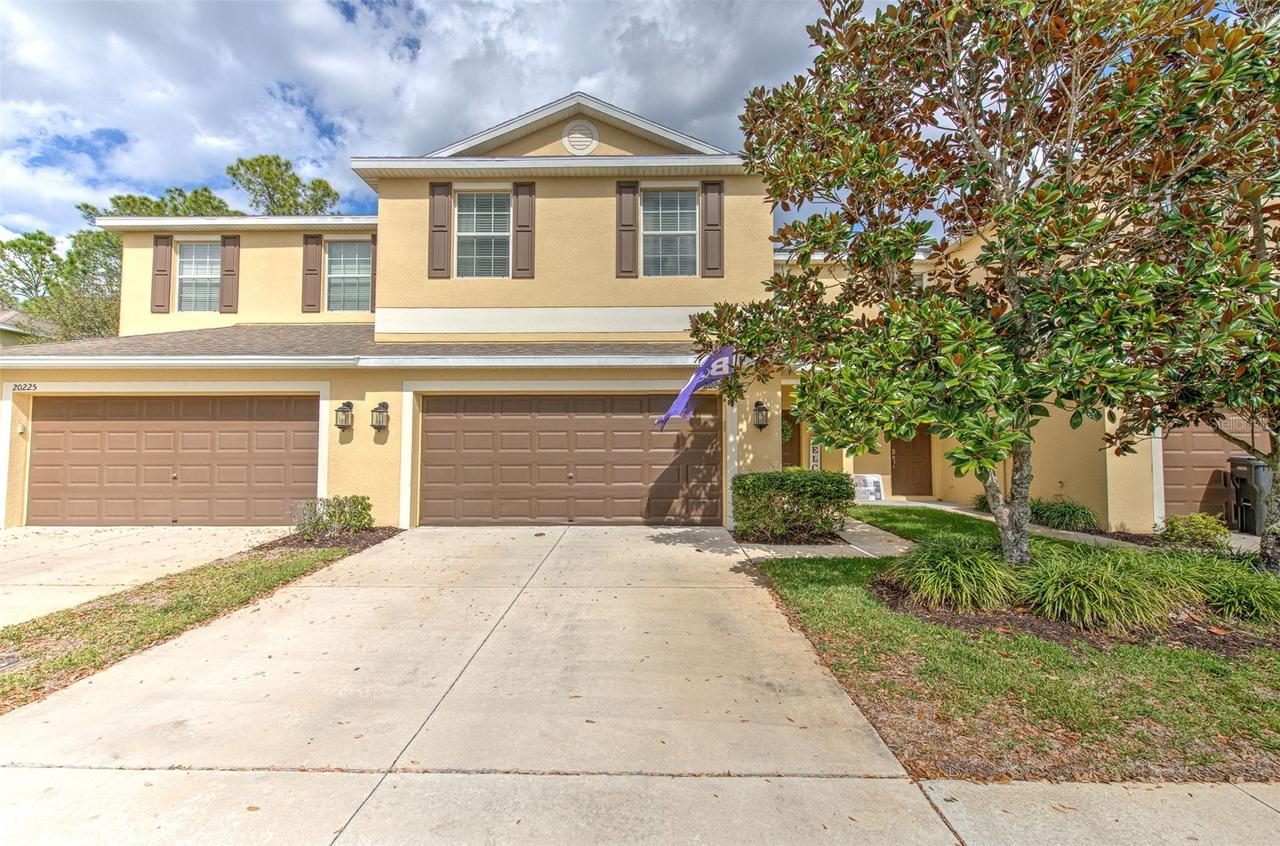 20223 Indian Rosewood Dr., Tampa, FL 33647