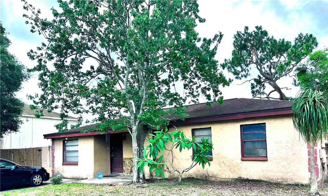 3806 W Wallace Ave., Tampa, FL 33611