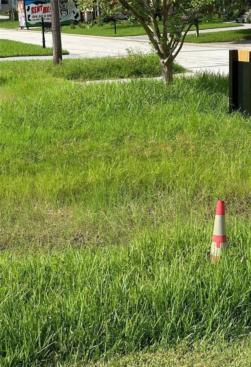 6813 Lyman Ave., Tampa, FL 33610