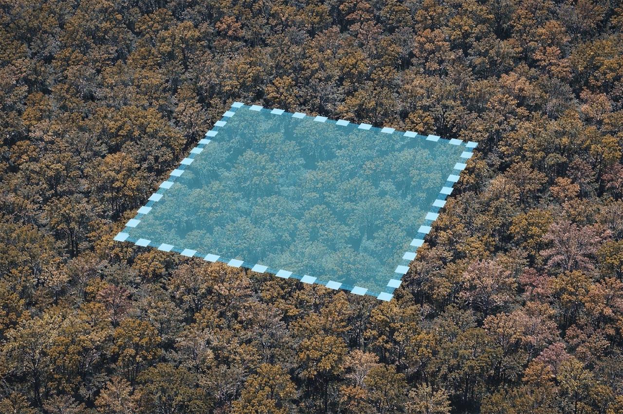 Unassigned, Oak Hill, FL 32759