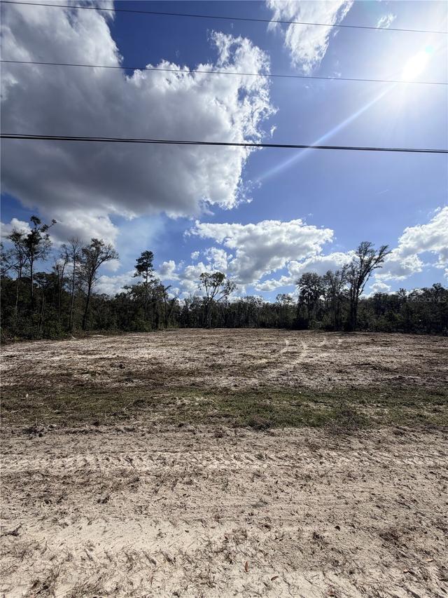 163 NE 159th Ave., Old Town, FL 32680