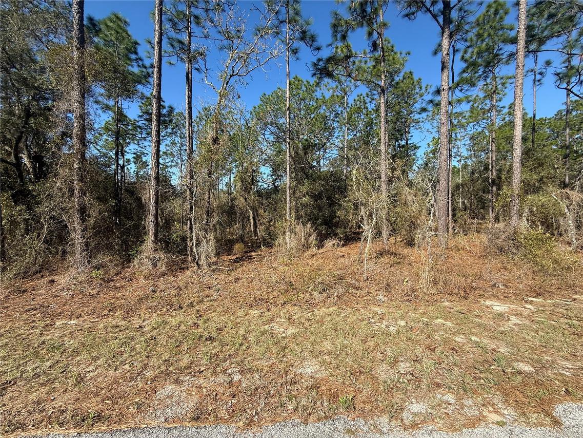 Lot 13 SE 129 Ct., Dunnellon, FL 34431