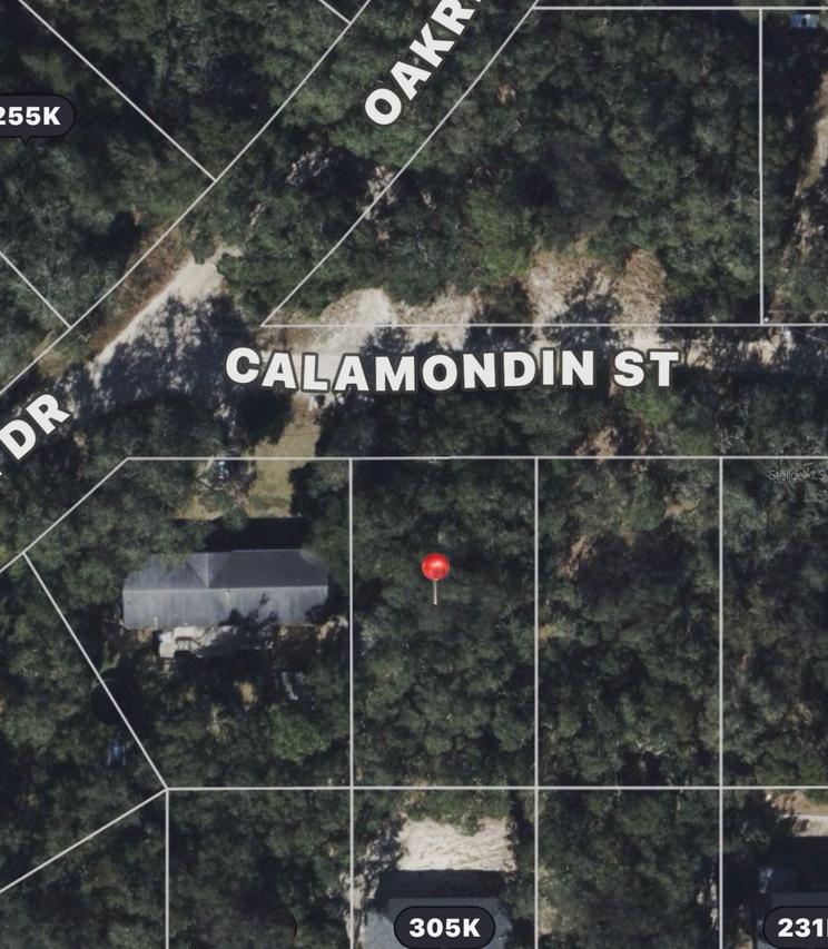 Calamondin St St., Lady Lake, FL 32159