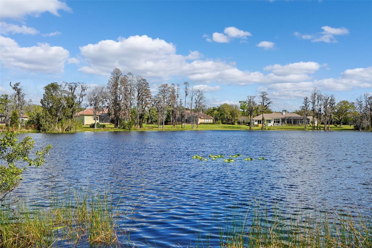 18709 Wayne Rd., Odessa, FL 33556