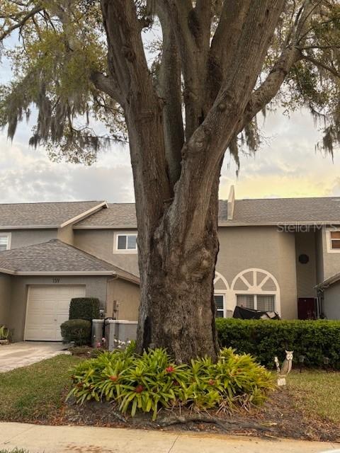 159 Hunter Ct. #N/A, Palm Harbor, FL 34684