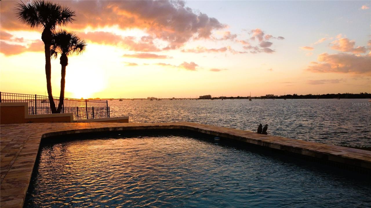 4201 45th St., St Petersburg, FL 33711