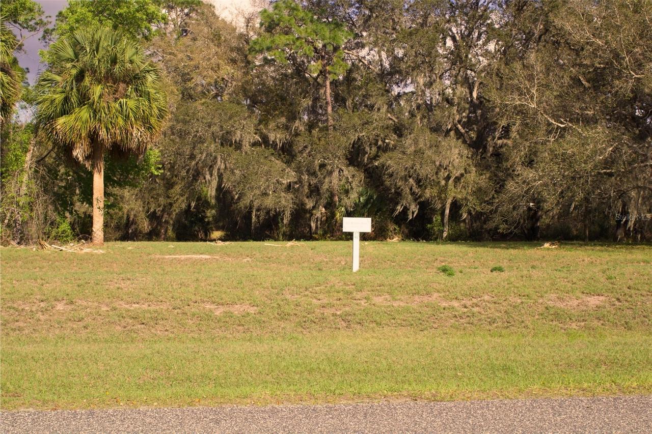 Lot 47 Silent Ridge Dr., Tavares, FL 32778