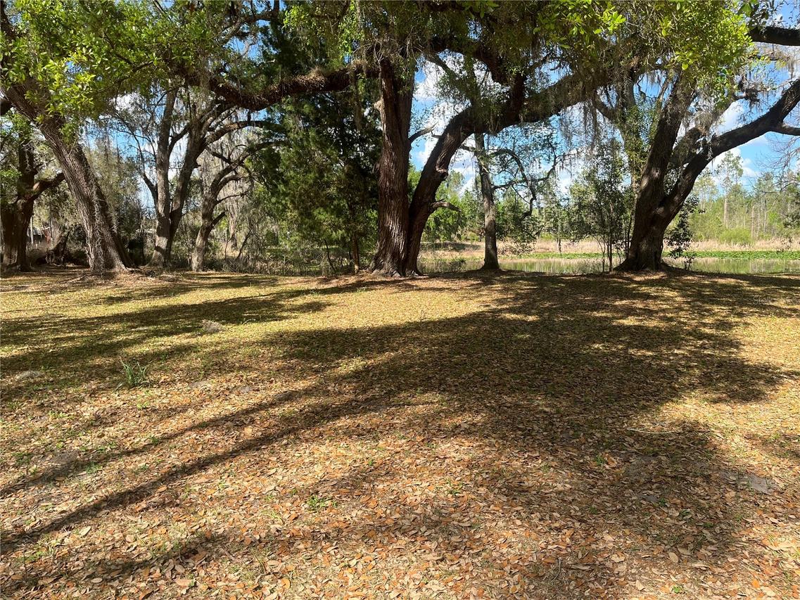 Sr 471, Webster, FL 33597