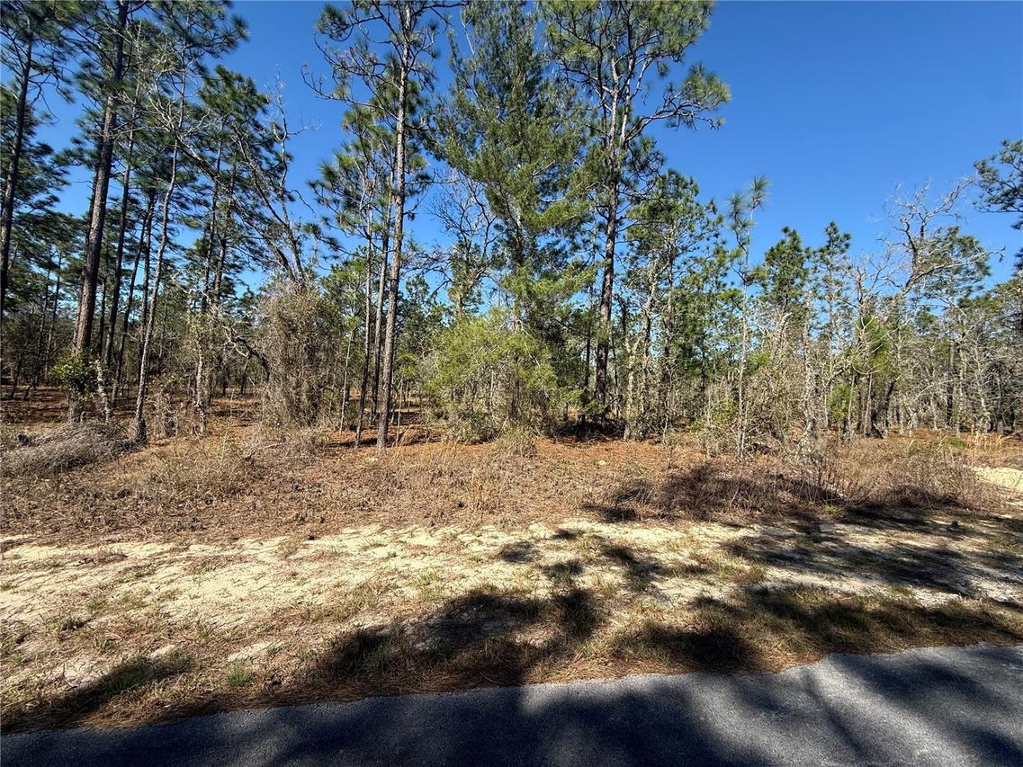 Lot 5 SE 130 Ct., Dunnellon, FL 34431
