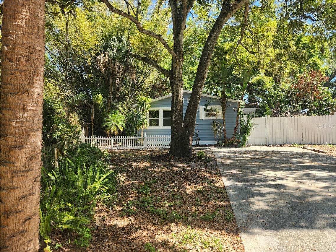 504 Belmont St., Safety Harbor, FL 34695