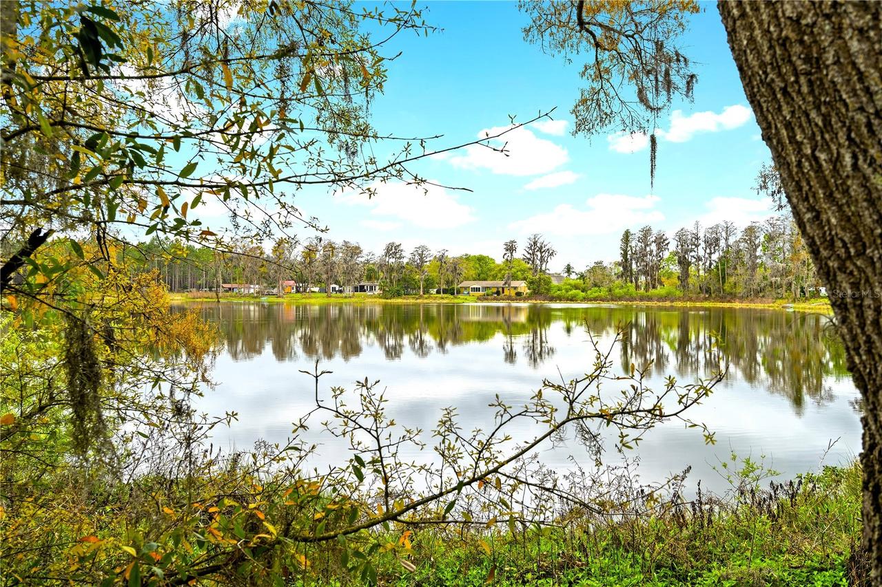 18117 Boy Scout Rd., Odessa, FL 33556