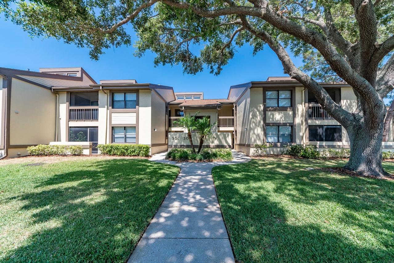 303 Woodlake Wynde, Oldsmar, FL 34677