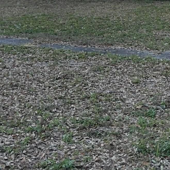 Gadsen Rd., Winter Haven, FL 33884