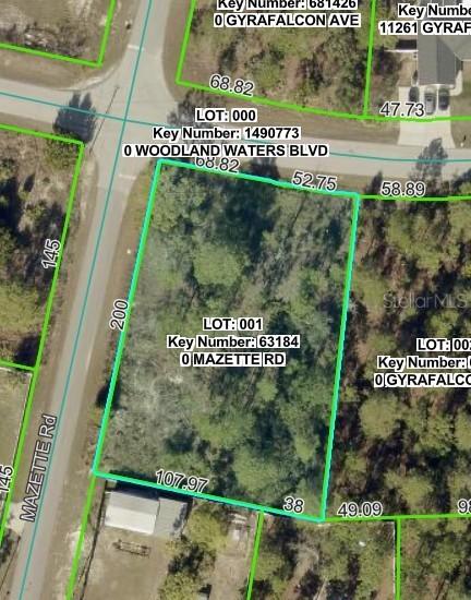 9032 Mazette Rd., Weeki Wachee, FL 34613