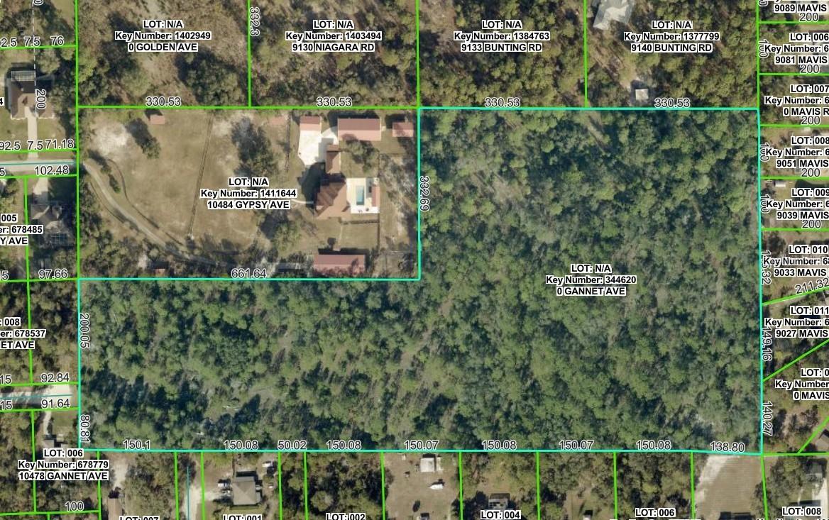 Gannet Ave., Weeki Wachee, FL 34613
