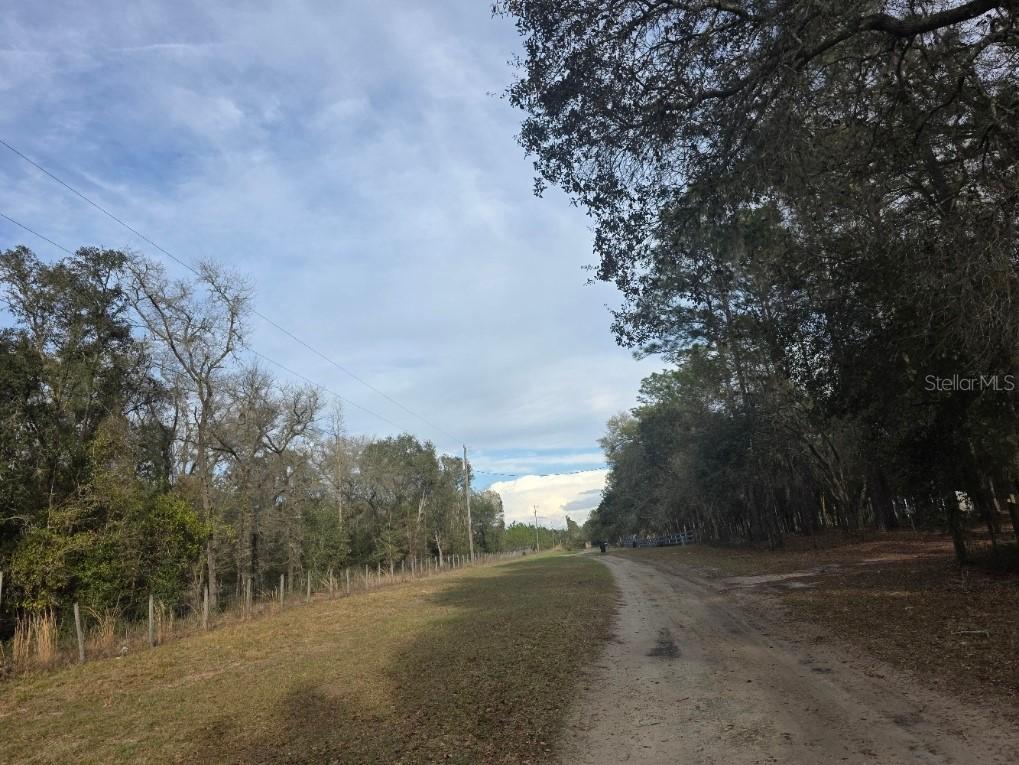 NE 62 Pl., Williston, FL 32696