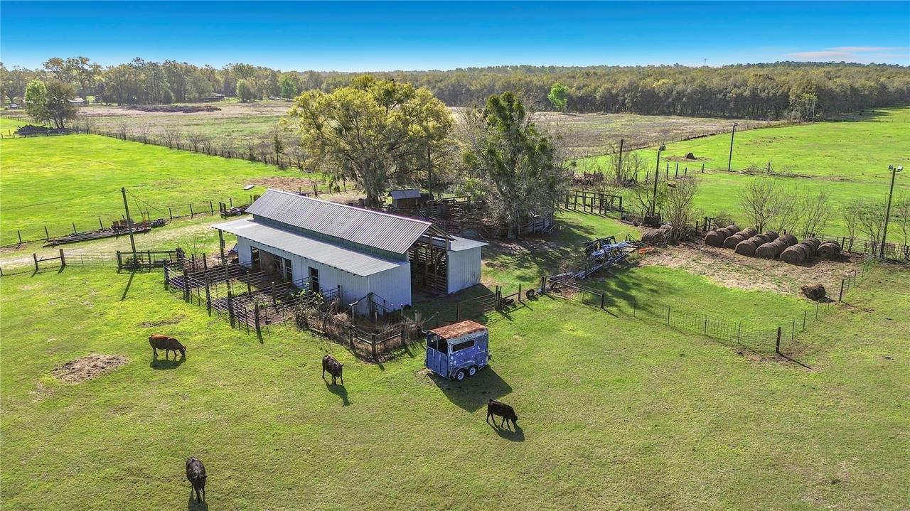 855 NE 107th Rd., Oxford, FL 34484