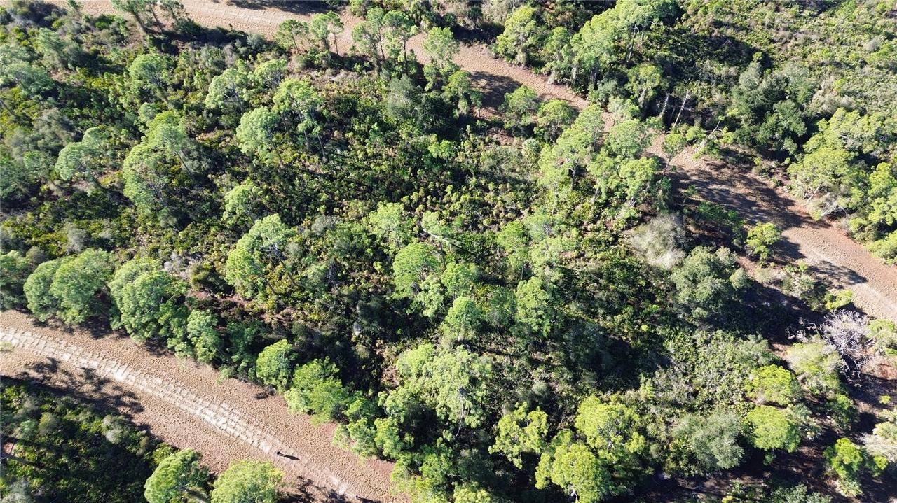 Cody Cir., North Port, FL 34291