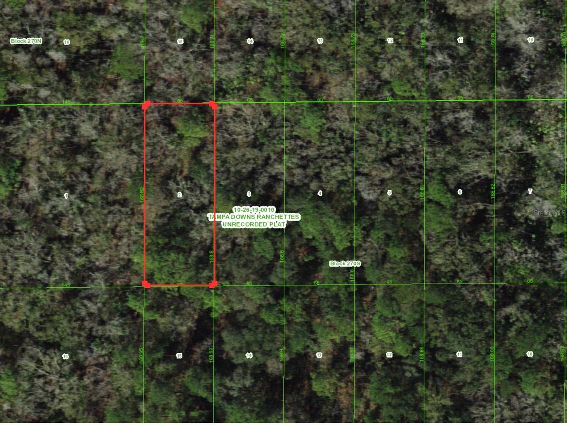 Unassigned, Wesley Chapel, FL 33544