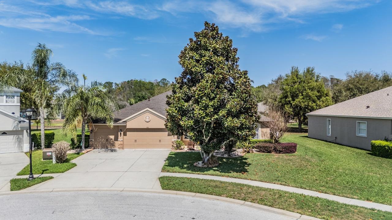 19101 Lone Creek Ct., Land O Lakes, FL 34638