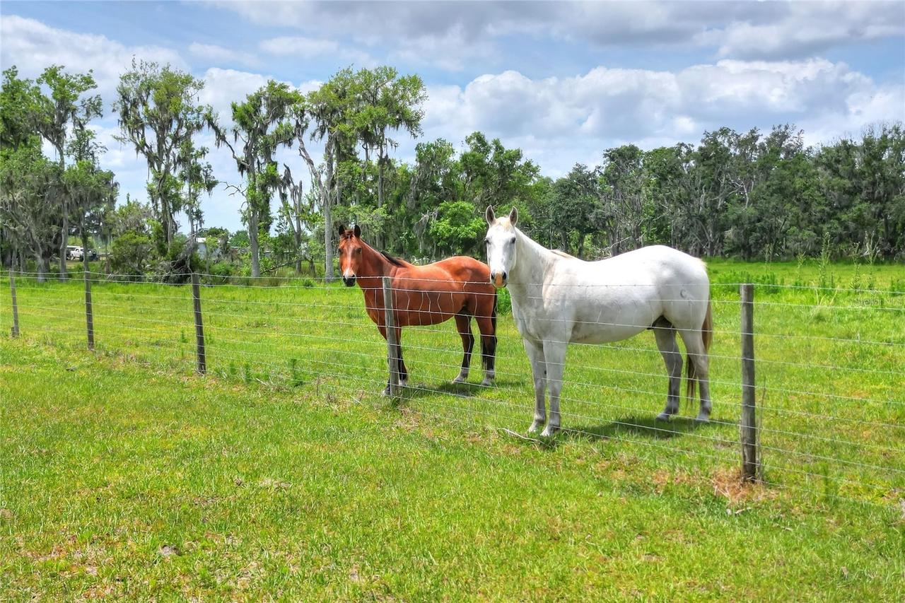 S Cr 39, Lithia, FL 33547