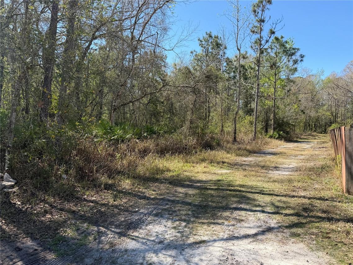 TBD Tanner Rd., New Port Richey, FL 34654