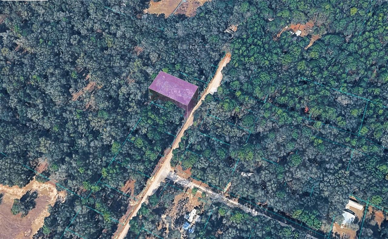 10452 N Dunedin Rd., Dunnellon, FL 34433