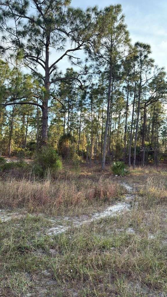 918 Belmont St., Lehigh Acres, FL 33974