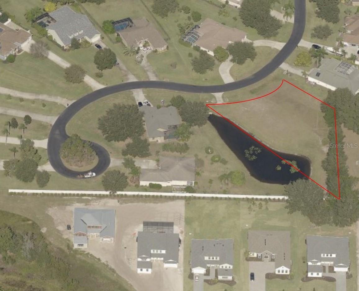 19915 Dolores Ann Ct., Lutz, FL 33549