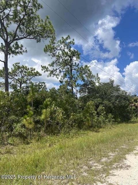 10194 Yellow Frog Ave., Weeki Wachee, FL 34614