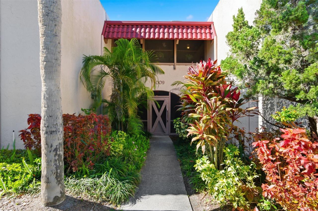 1009 S Bayshore Blvd. #204, Safety Harbor, FL 34695