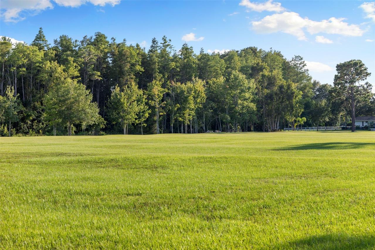 9116 Roberts Rd., Odessa, FL 33556