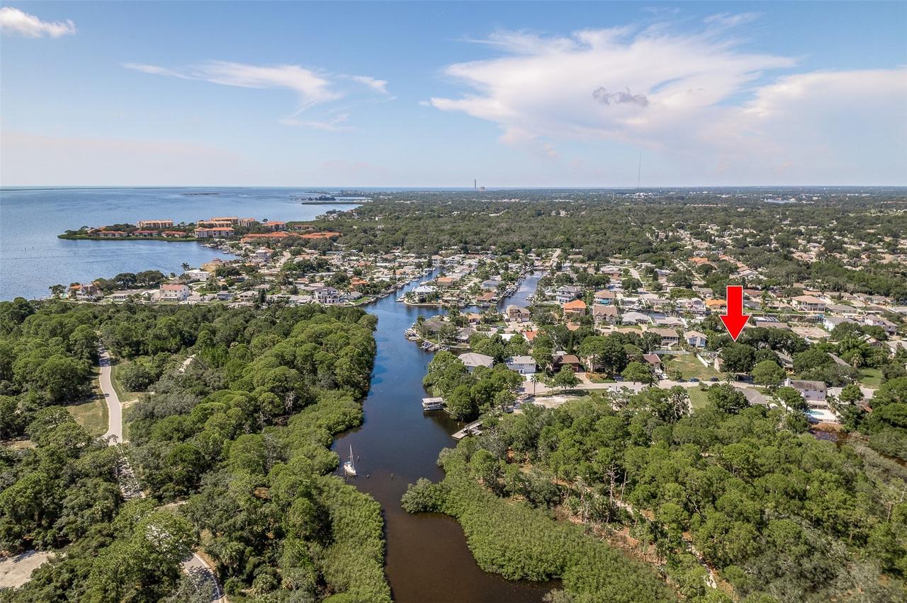 14 Baywood Dr., Palm Harbor, FL 34683