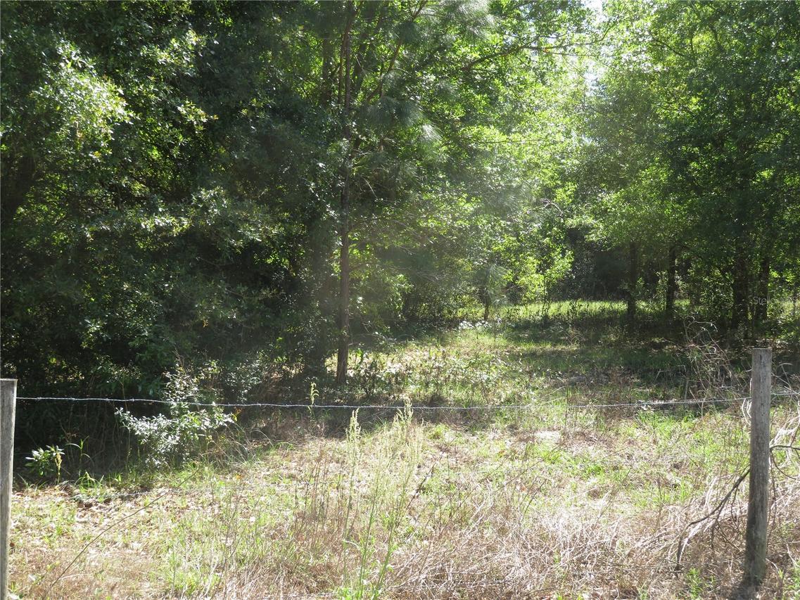 [Address Hidden by Seller], San Antonio, FL 33576