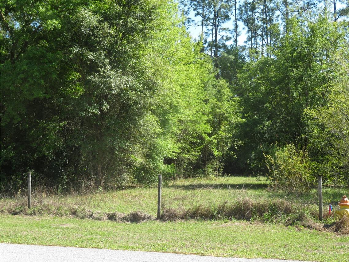 [Address Hidden by Seller], San Antonio, FL 33576