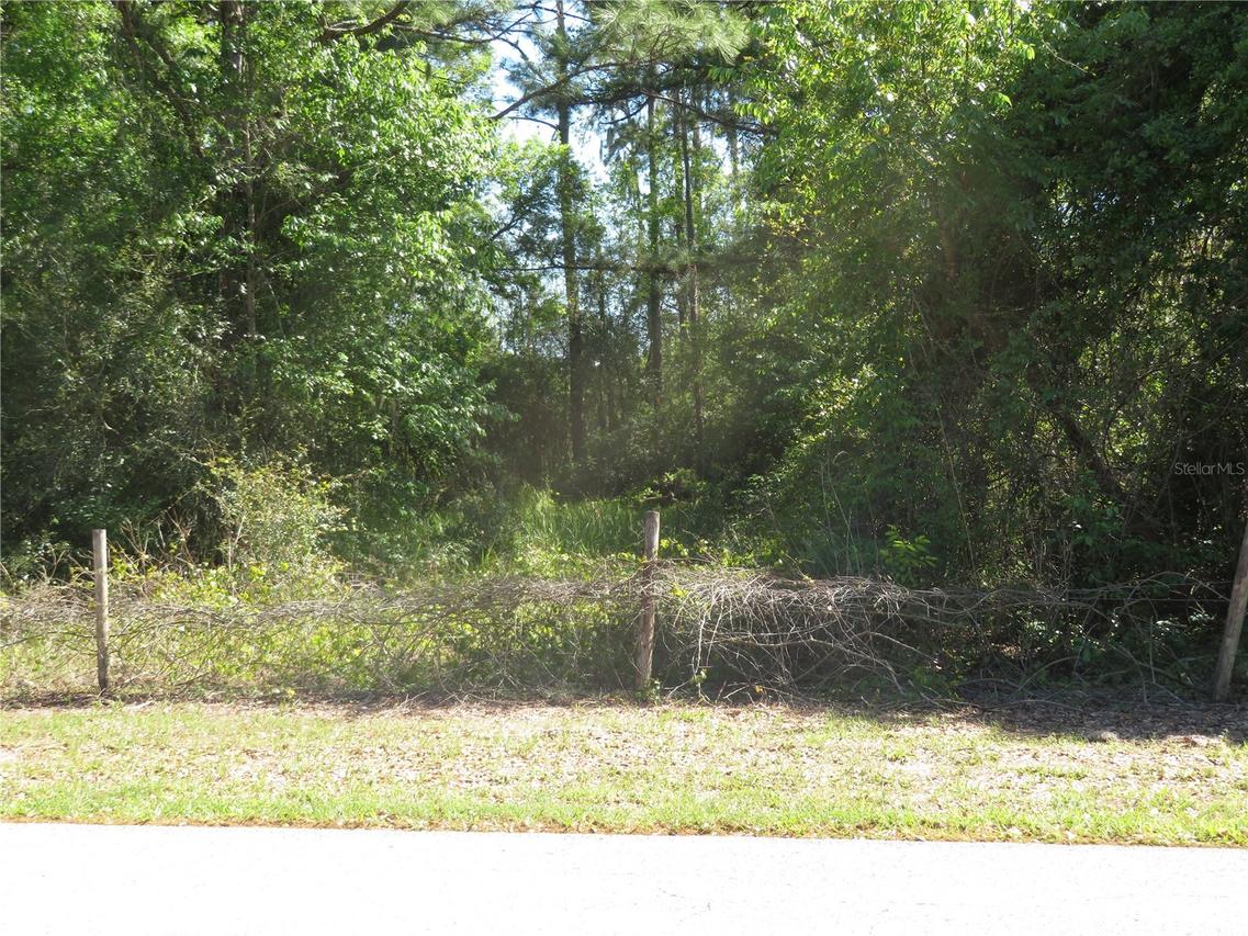 [Address Hidden by Seller], San Antonio, FL 33576