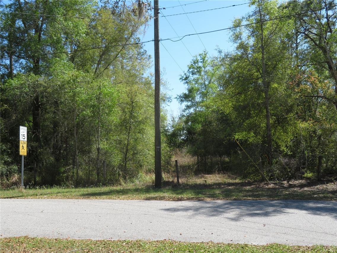 [Address Hidden by Seller], San Antonio, FL 33576