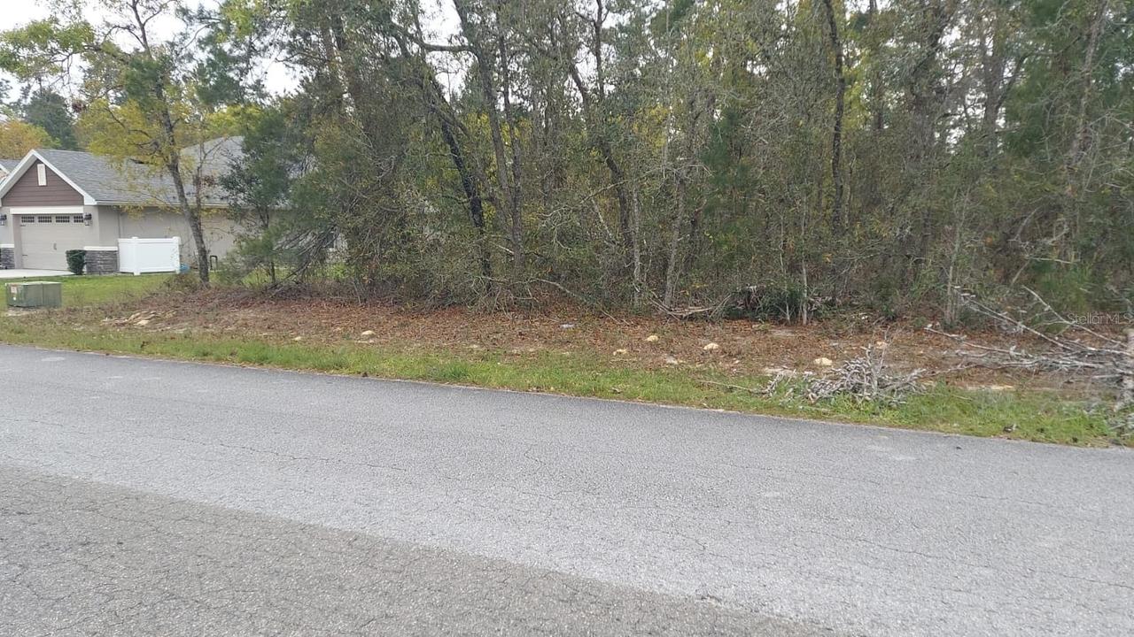 3 Tall Marigolds Ct,, Homosassa, FL 34446