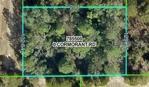 13408 Cormorant Rd., Brooksville, FL 34614
