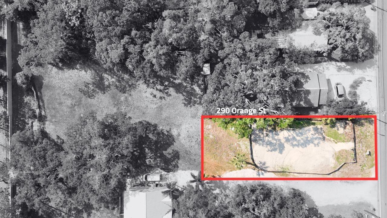 290 Orange St., Palm Harbor, FL 34683