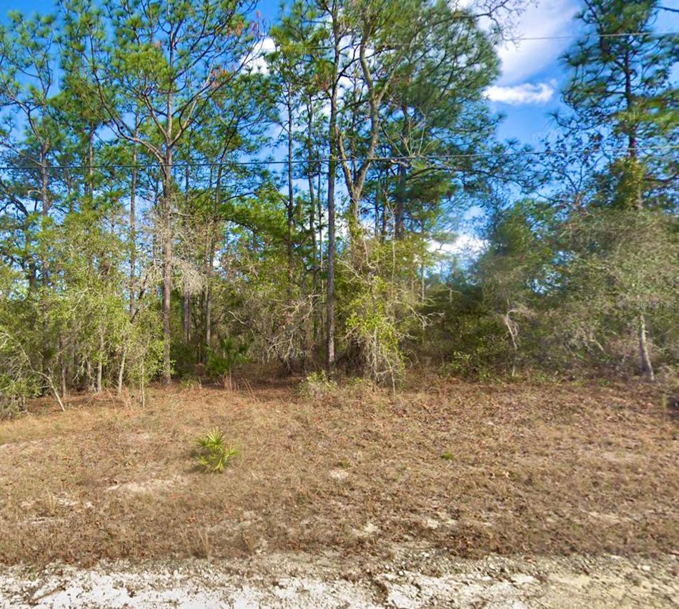 8110 Nordica Rd., Weeki Wachee, FL 34613