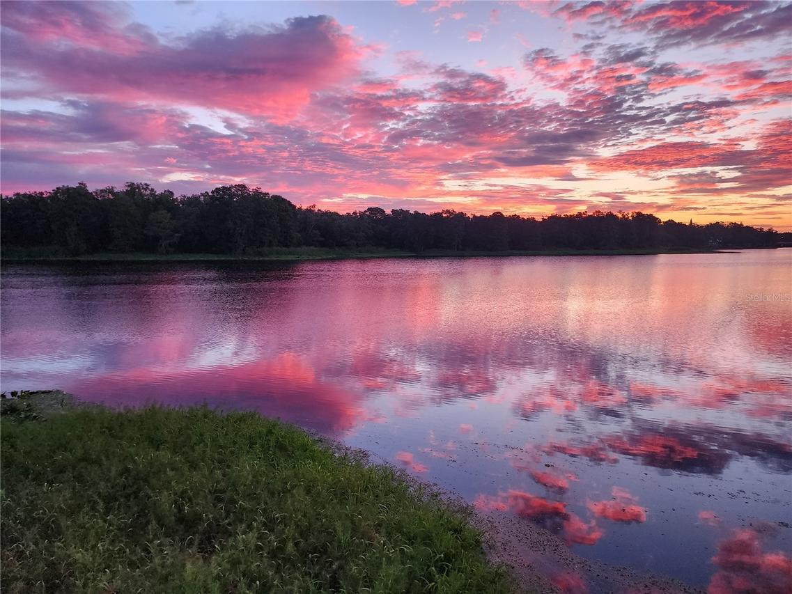 [Address Hidden by Seller], Tampa, FL 33610