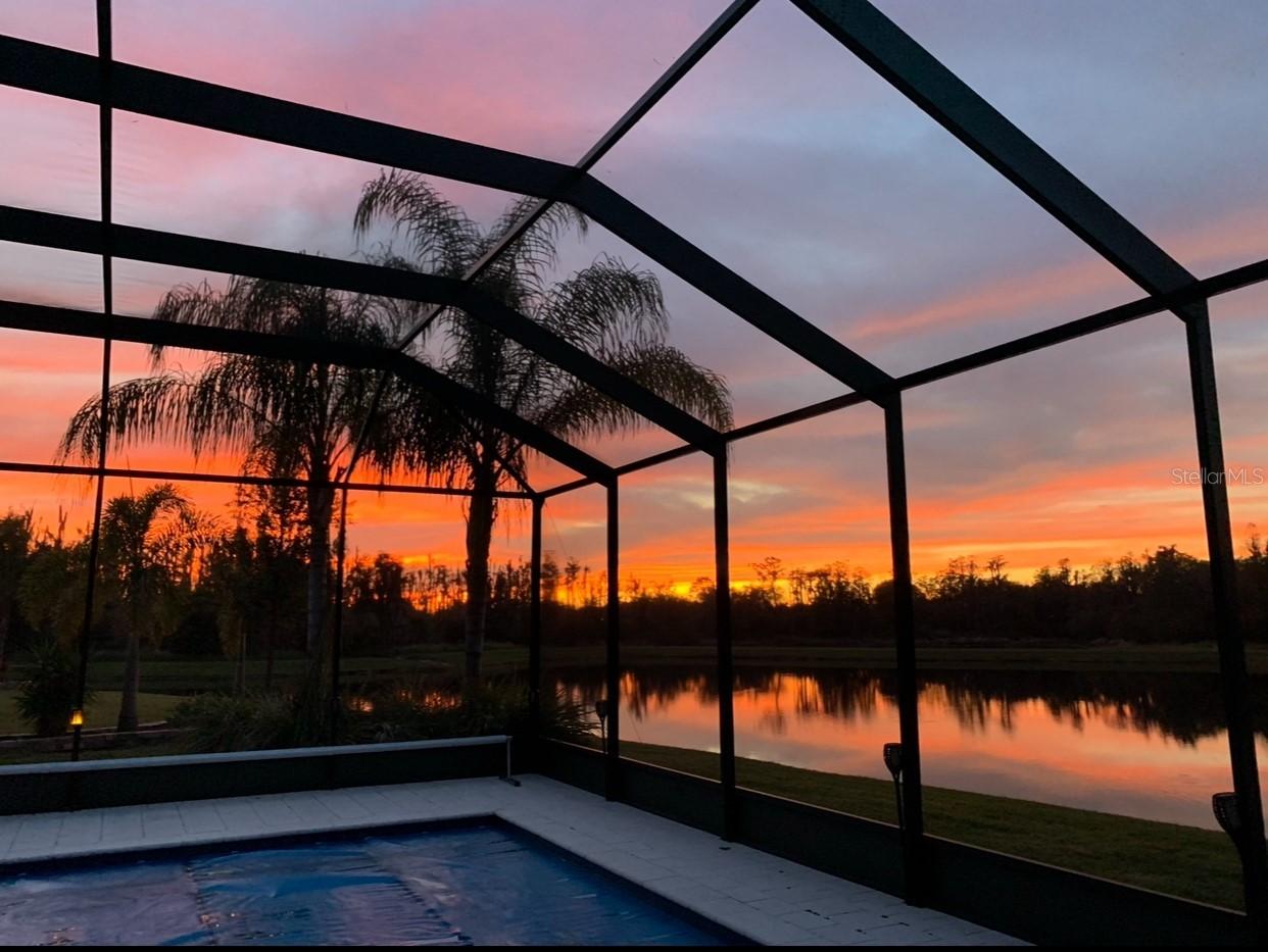 16015 Cape Coral Dr., Wimauma, FL 33598