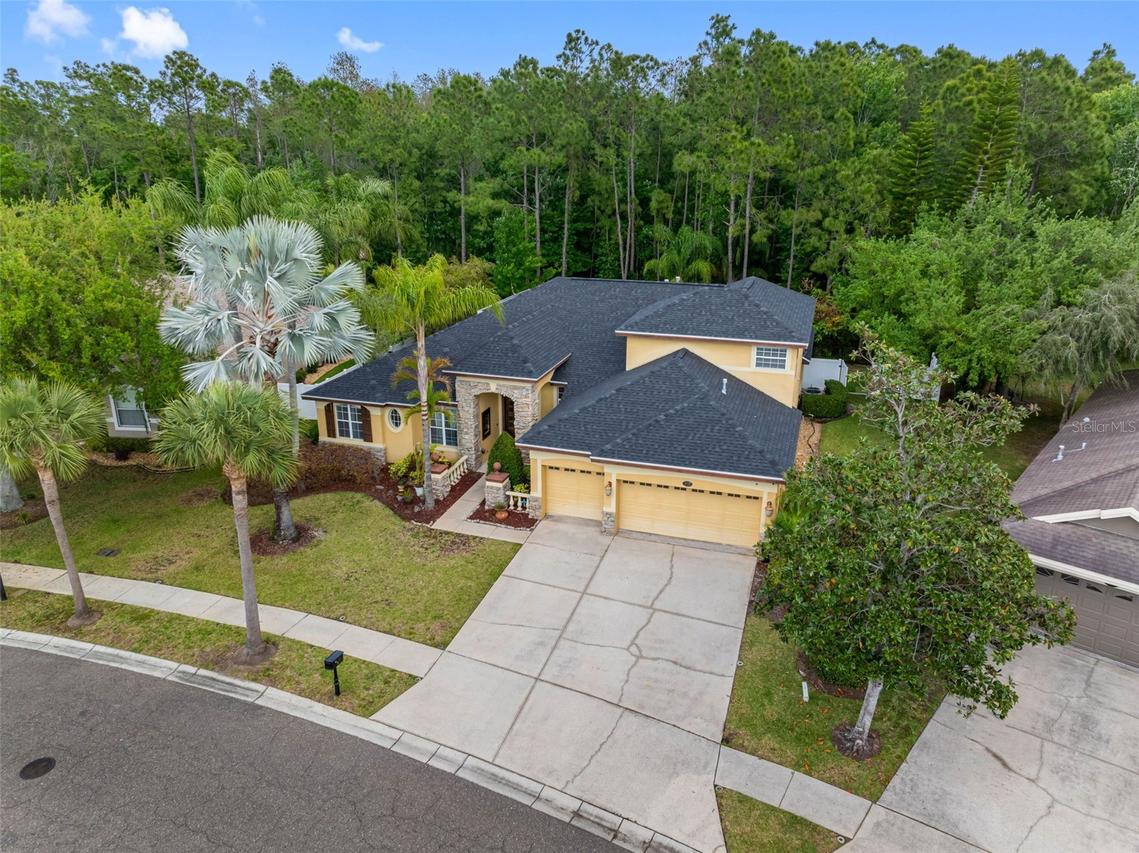 16750 Ivy Lake Dr., Odessa, FL 33556