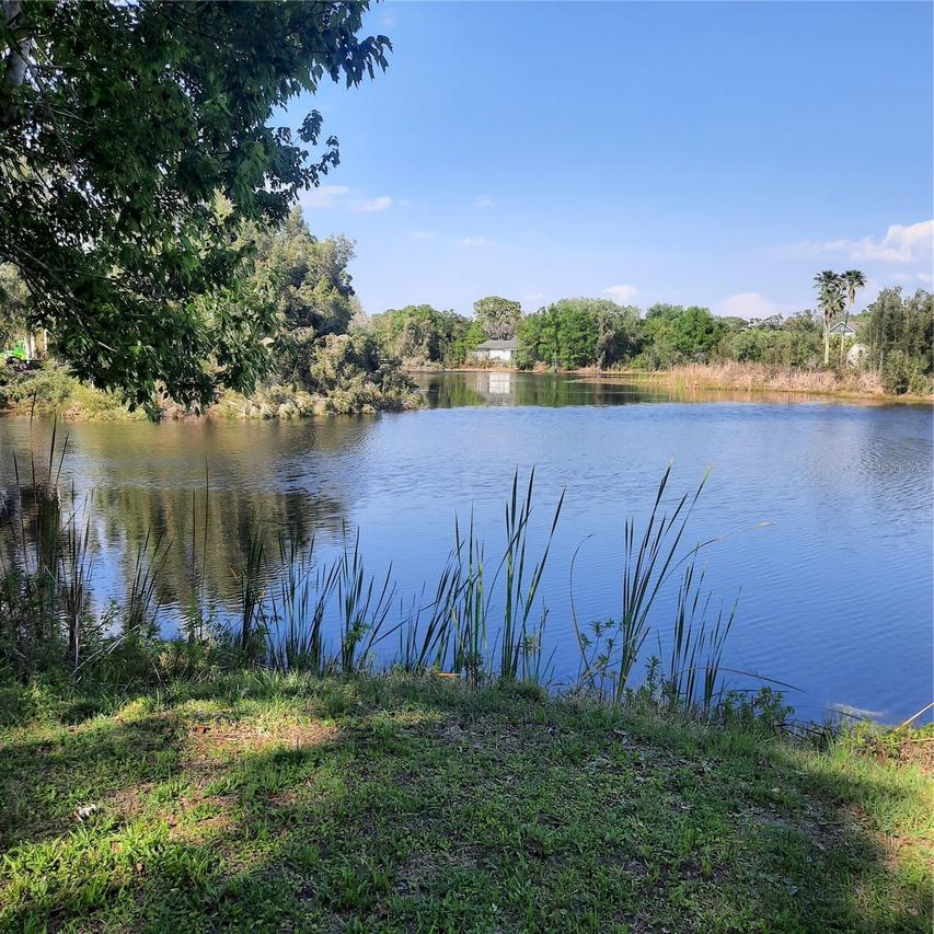 10502 Hinds Pl., Odessa, FL 33556