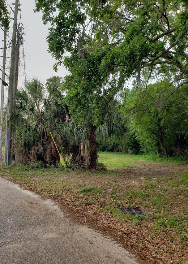 Grosse Ave., Tarpon Springs, FL 34689