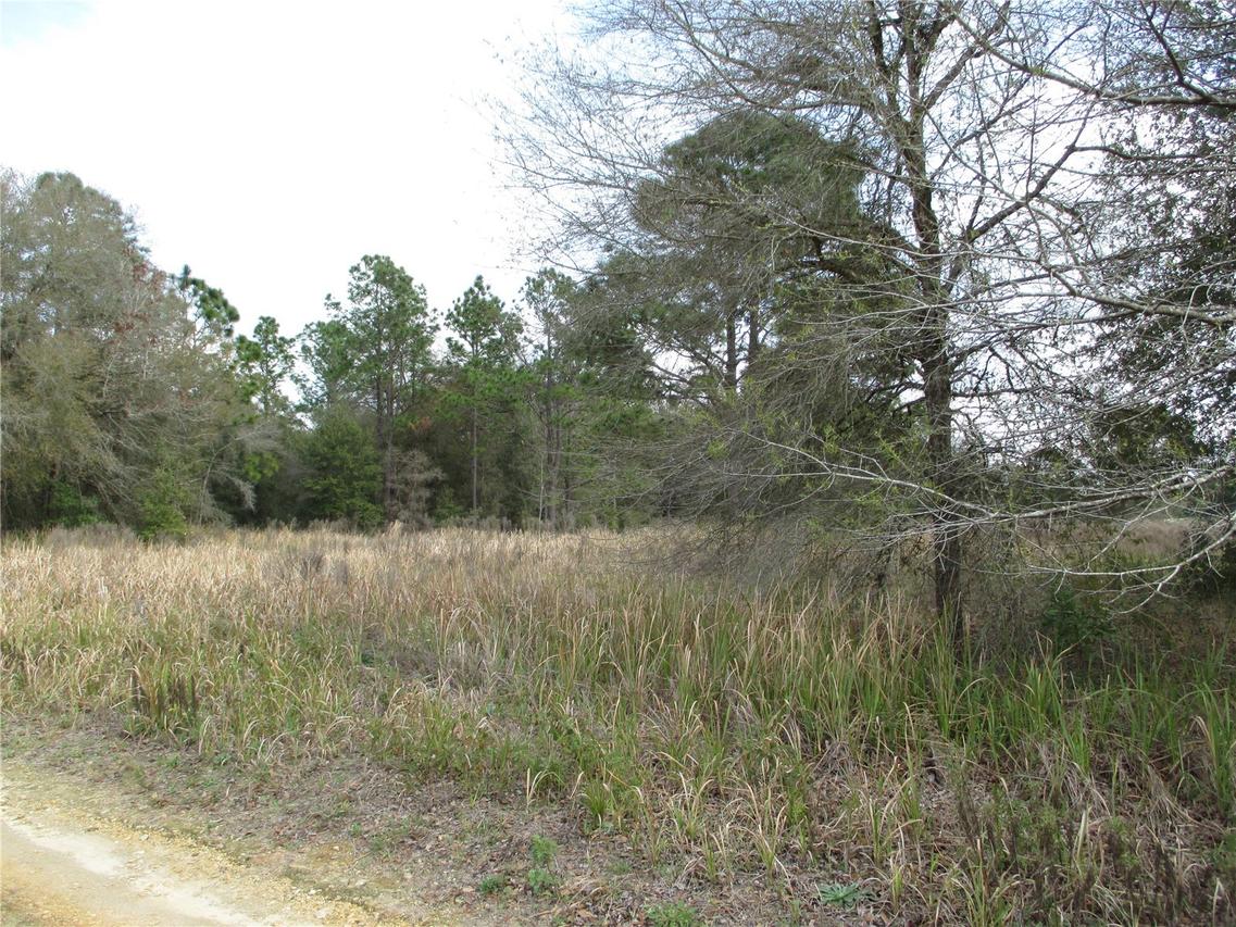 SW 24th Pl., Ocala, FL 34481