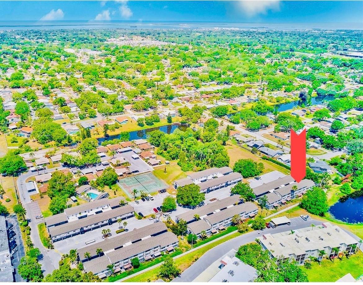 1127 King Arthur Ct. #309, Dunedin, FL 34698