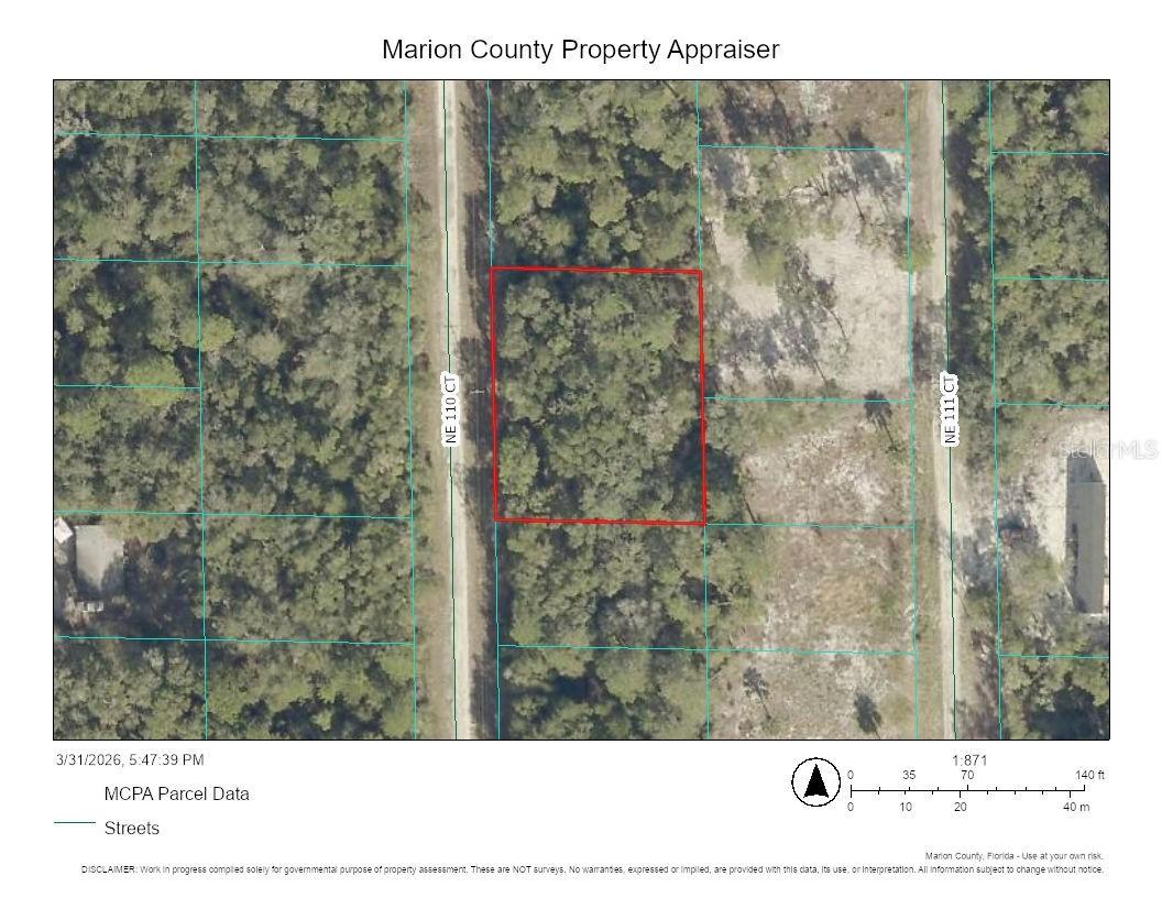 00000 NE 110th Ct., Fort Mc Coy, FL 32134