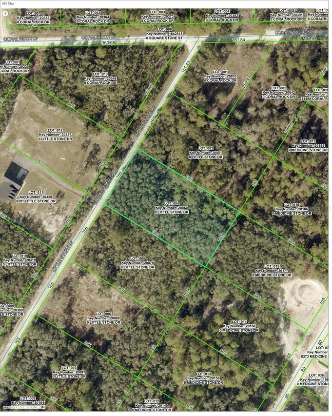 000 Little Stone Dr., Webster, FL 33597